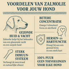 Kapitein Jacob Zalmolie - 1L